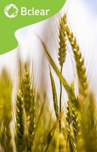 Treated water for agricultura irrigation